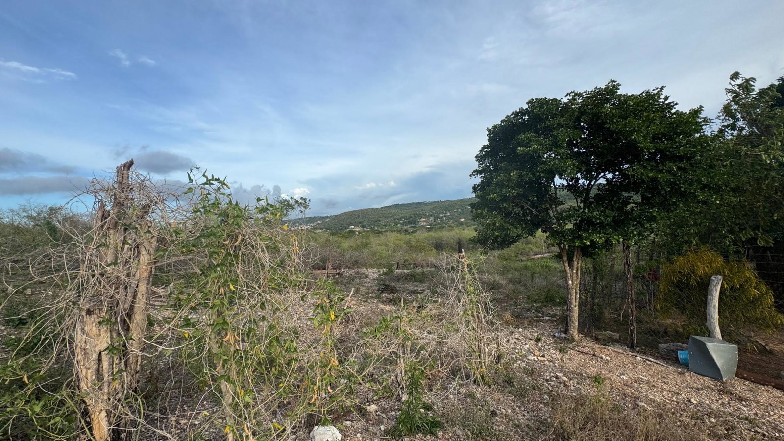 Fifth image of 125 Stewart Castle in Duncans, Trelawny, Jamaica - property is For Sale