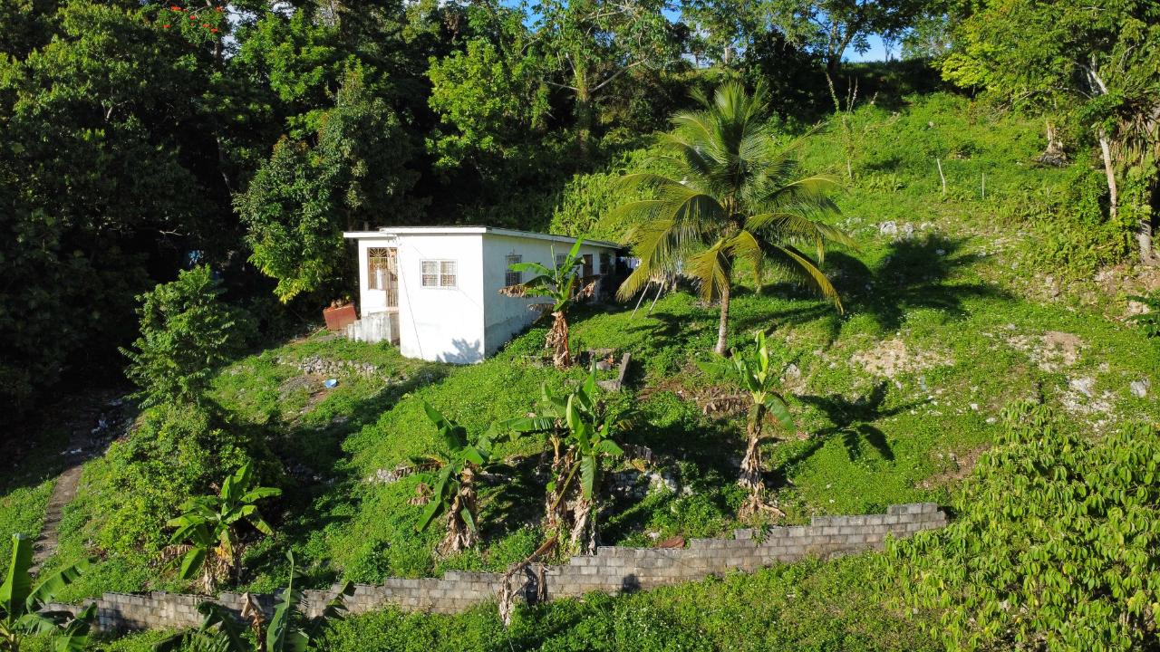 Third image of Labyrinth in Labryrinth, St. Mary, Jamaica - property is For Sale