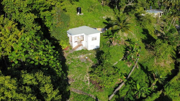 Fifth image of Labyrinth in Labryrinth, St. Mary, Jamaica - property is For Sale