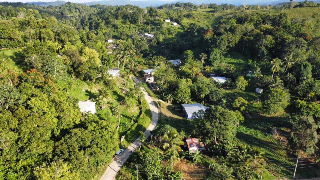 Seventh image of Labyrinth in Labryrinth, St. Mary, Jamaica - property is For Sale