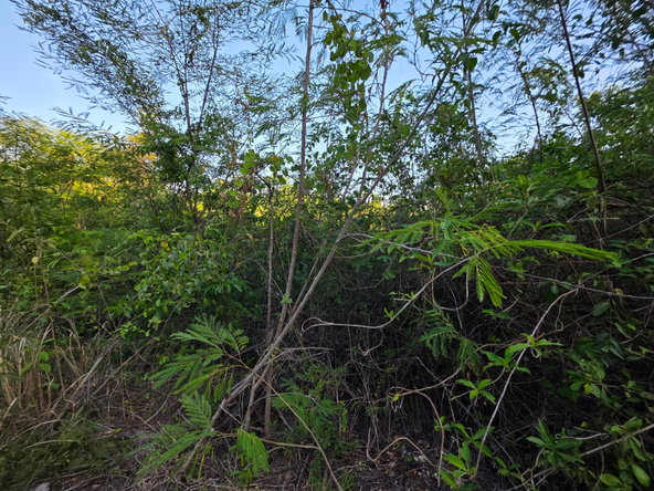 Fourth image of C15 Albion Heights in Albion Estate, St. Thomas, Jamaica - property is For Sale
