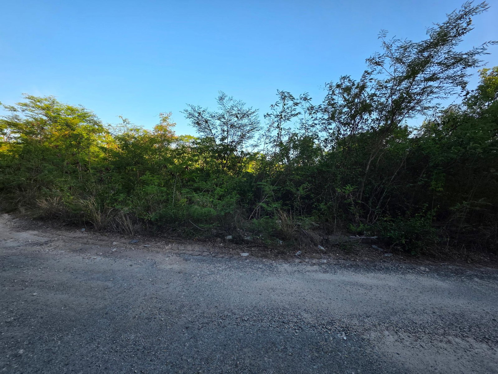 Second image of C100 Albion Heights in Albion Estate, St. Thomas, Jamaica - property is For Sale