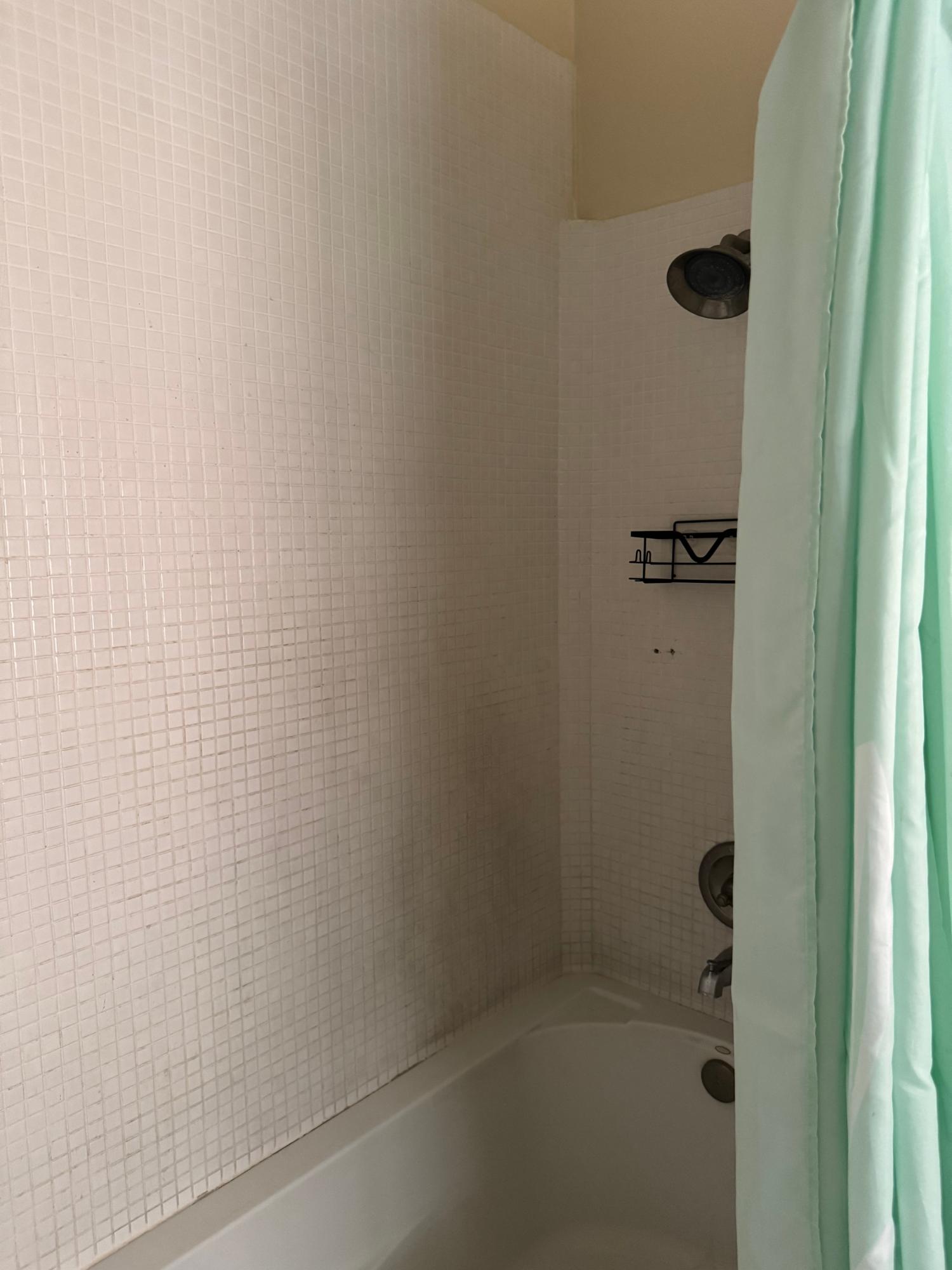 Seventeenth image of 295 Alamanda Avenue in Priory, St. Ann, Jamaica - property is For Rent