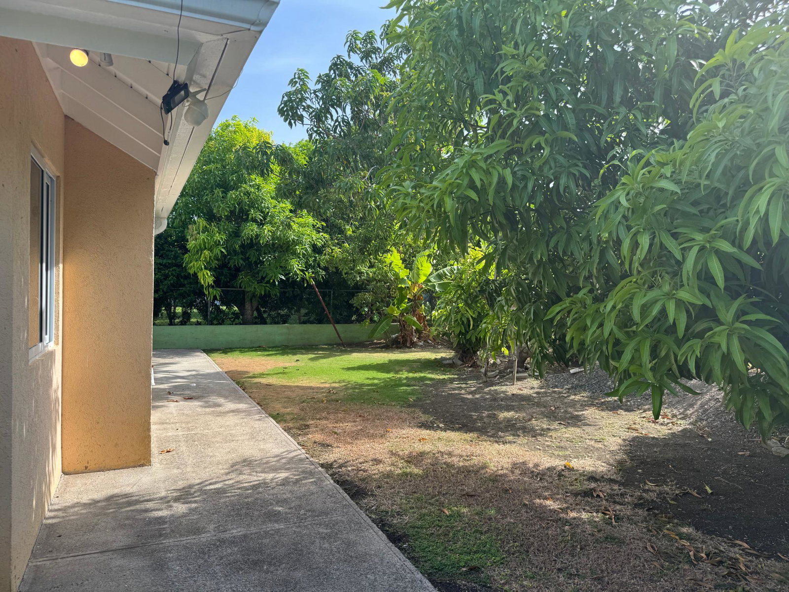 Fifth image of 295 Alamanda Avenue in Priory, St. Ann, Jamaica - property is For Rent