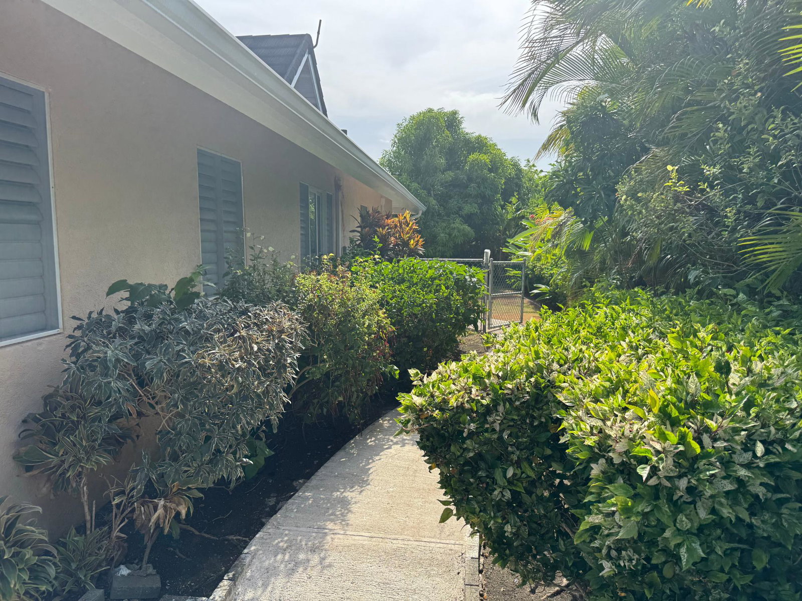 Sixth image of 295 Alamanda Avenue in Priory, St. Ann, Jamaica - property is For Rent