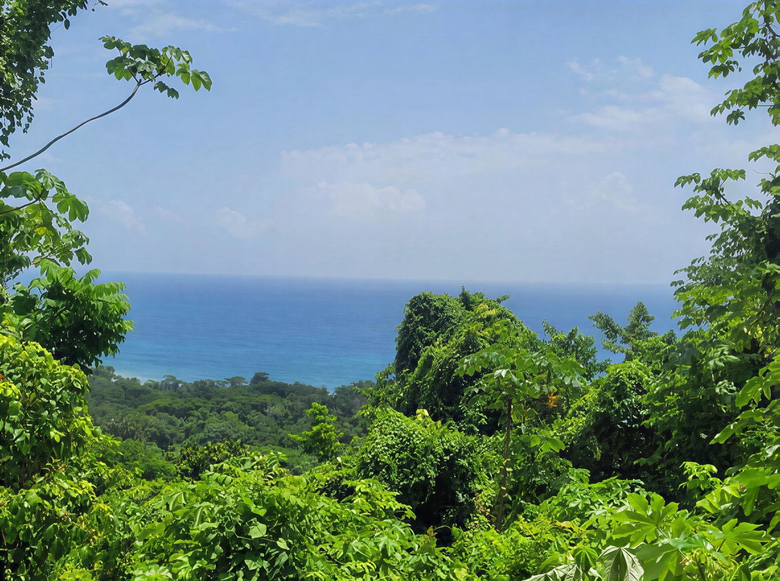 First image of Somerset Hills in Hope Bay, Portland, Jamaica - property is For Sale