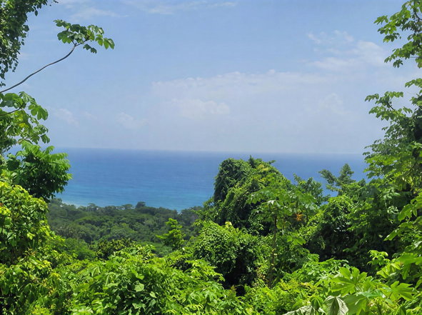 First image of Somerset Hills in Hope Bay, Portland, Jamaica - property is For Sale