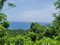 First image of Somerset Hills in Hope Bay, Portland, Jamaica - property is For Sale