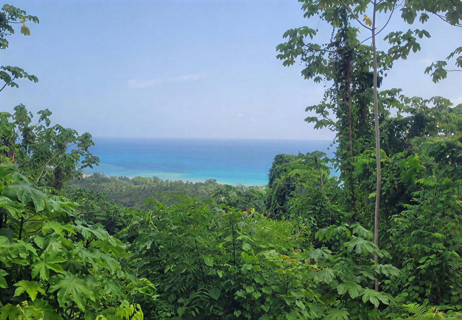 Second image of Somerset Hills in Hope Bay, Portland, Jamaica - property is For Sale