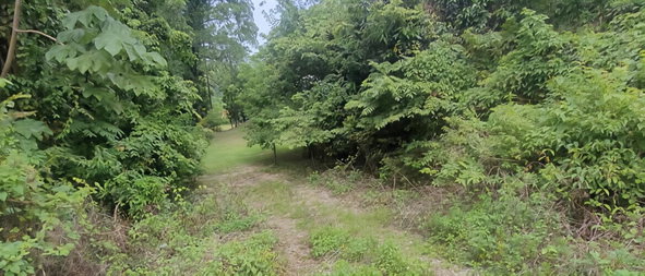 Fourth image of Somerset Hills in Hope Bay, Portland, Jamaica - property is For Sale