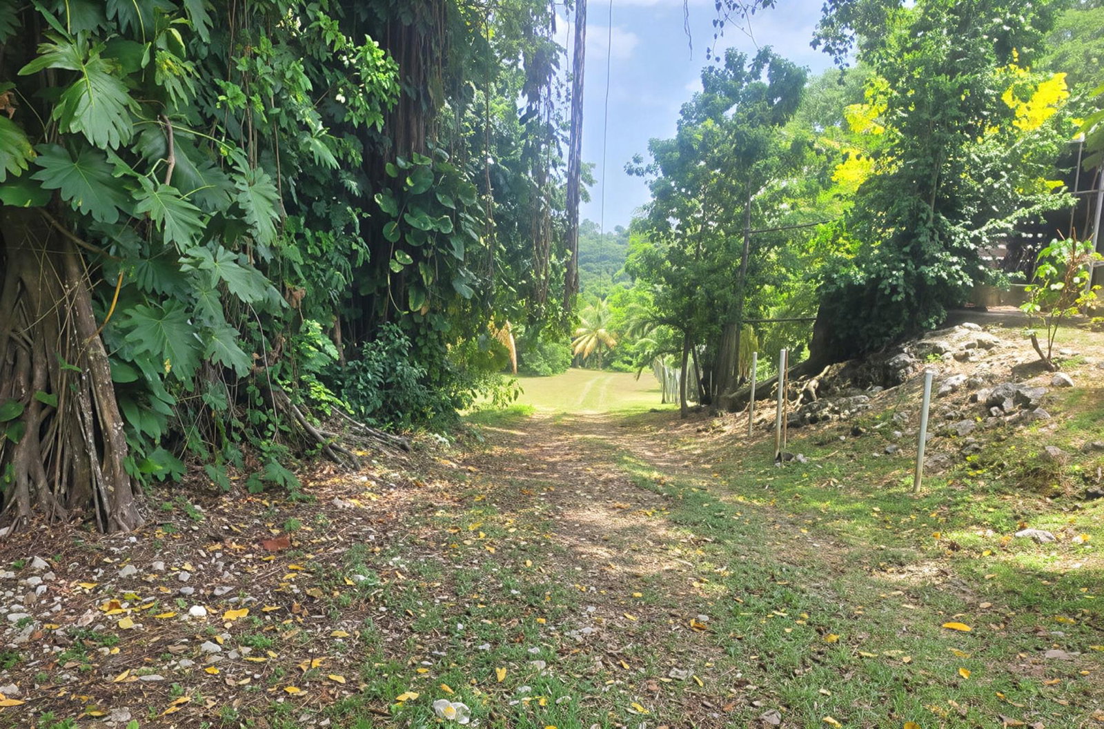 Seventh image of Somerset Hills in Hope Bay, Portland, Jamaica - property is For Sale