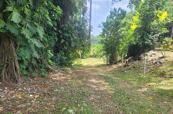 Seventh image of Somerset Hills in Hope Bay, Portland, Jamaica - property is For Sale