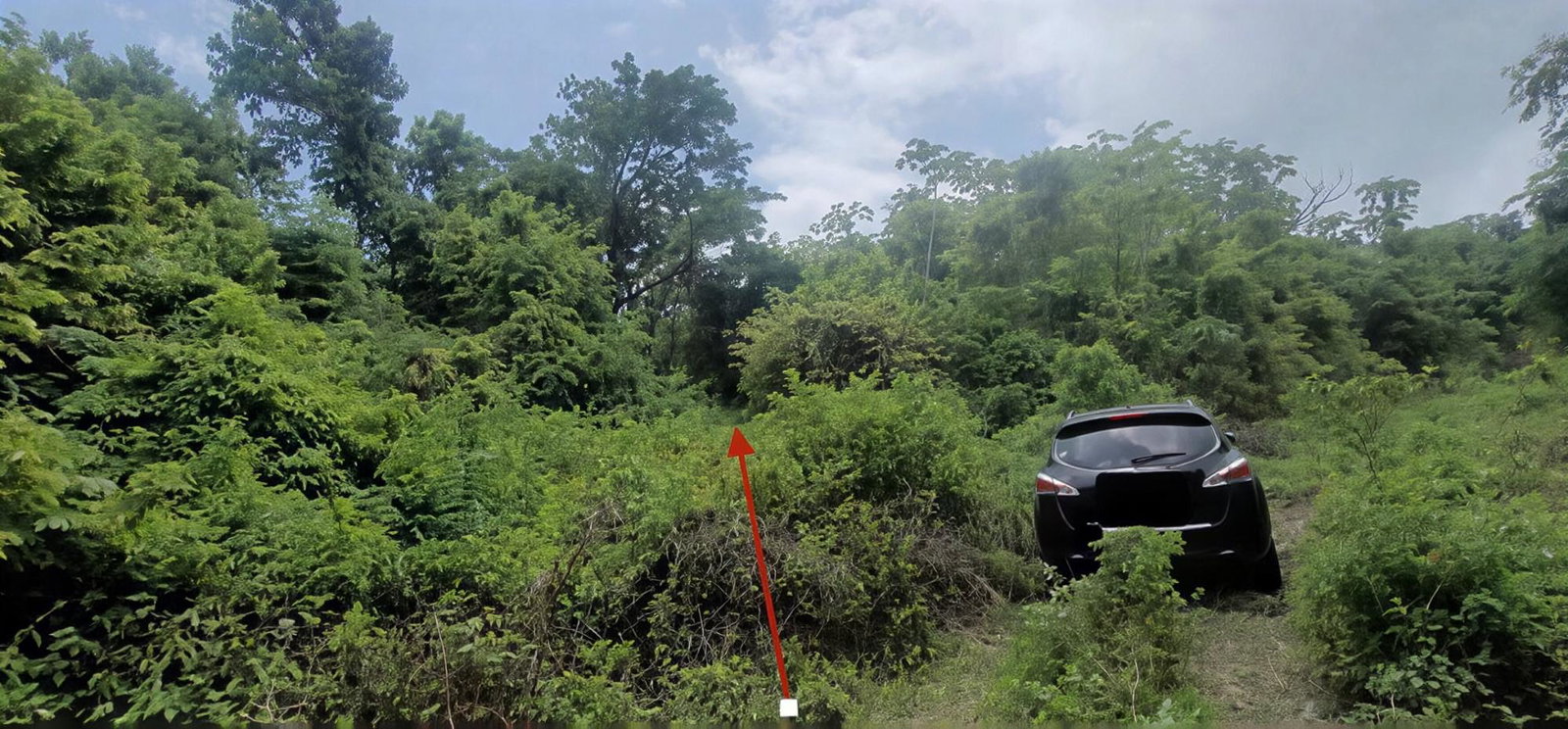 Eighth image of Somerset Hills in Hope Bay, Portland, Jamaica - property is For Sale