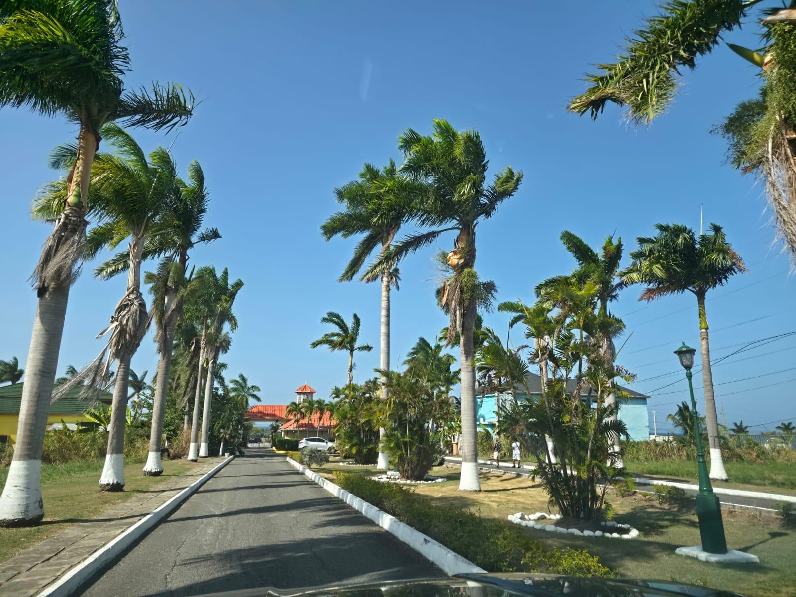 Seventh image of 217 Plantation Village in Priory, St. Ann, Jamaica - property is For Sale