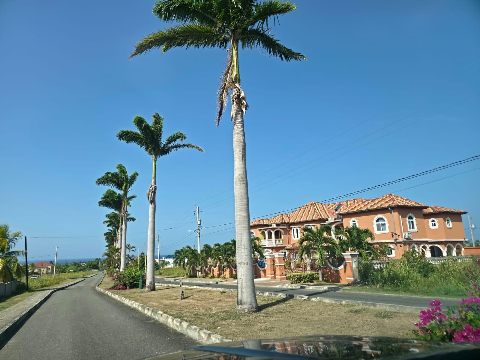 Ninth image of 217 Plantation Village in Priory, St. Ann, Jamaica - property is For Sale