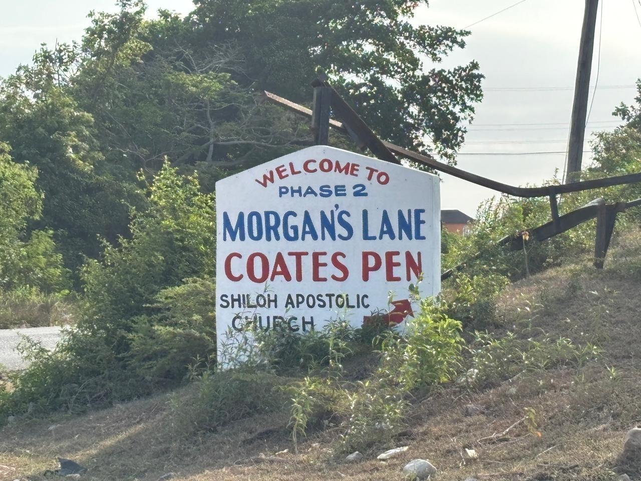 Fourteenth image of Lot 44 Coates Pen, May Pen, Clar in May Pen, Clarendon, Jamaica - property is For Sale