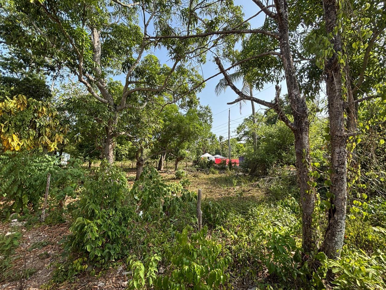 Sixth image of Lot 44 Coates Pen, May Pen, Clar in May Pen, Clarendon, Jamaica - property is For Sale