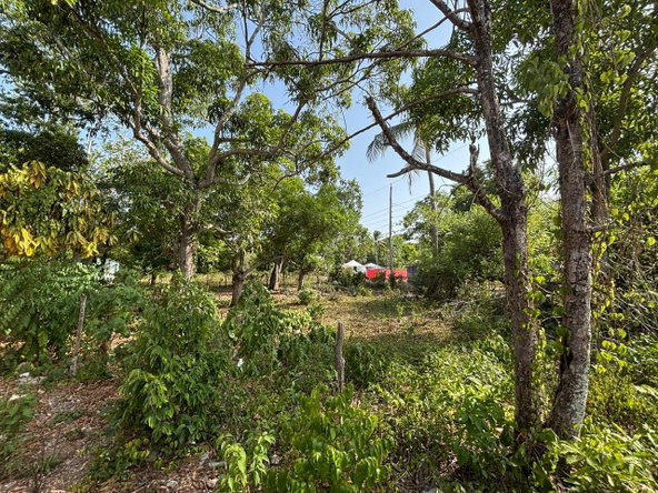 Sixth image of Lot 44 Coates Pen, May Pen, Clar in May Pen, Clarendon, Jamaica - property is For Sale