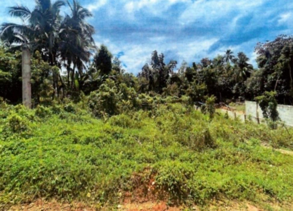 First image of Land Part of Mickleton, l in Linstead, St. Catherine, Jamaica - property is For Sale