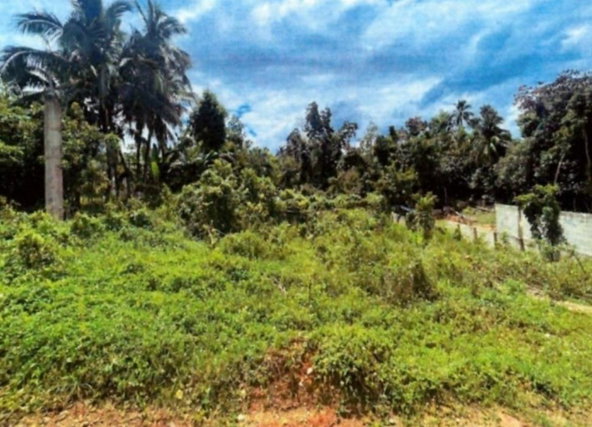 First image of Land Part of Mickleton, l in Linstead, St. Catherine, Jamaica - property is For Sale