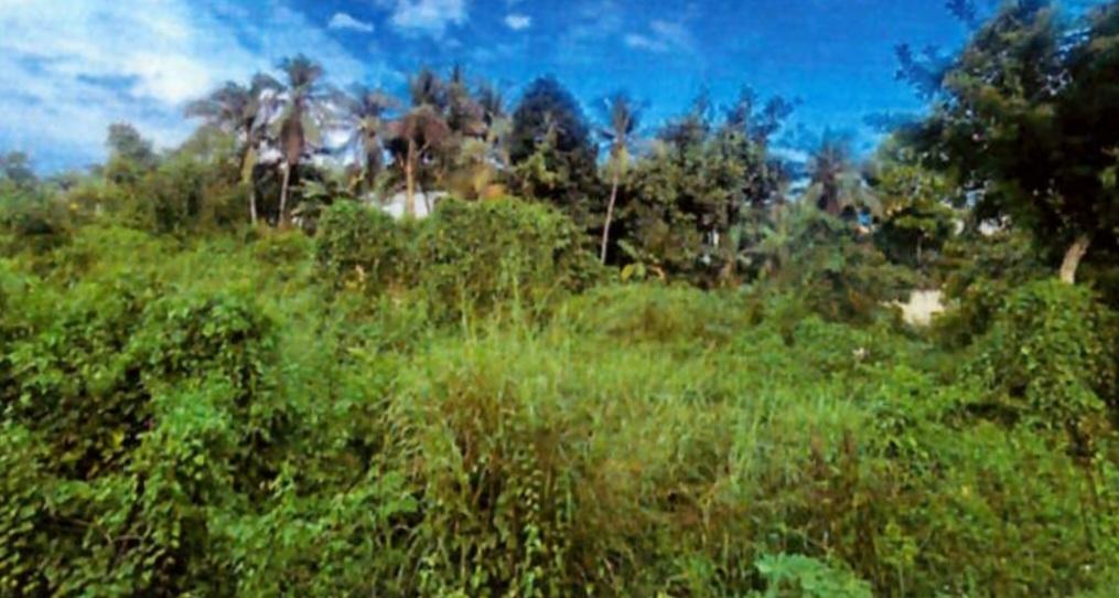Third image of Land Part of Mickleton, l in Linstead, St. Catherine, Jamaica - property is For Sale