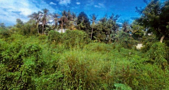 Third image of Land Part of Mickleton, l in Linstead, St. Catherine, Jamaica - property is For Sale