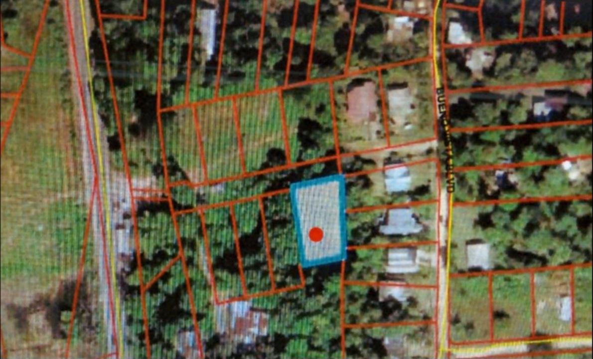 Sixth image of Land Part of Mickleton, l in Linstead, St. Catherine, Jamaica - property is For Sale