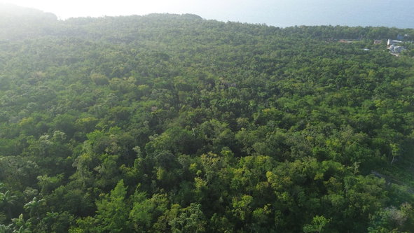 Sixteenth image of Roystonea, Tower Isle in Tower Isle, St. Mary, Jamaica - property is For Sale