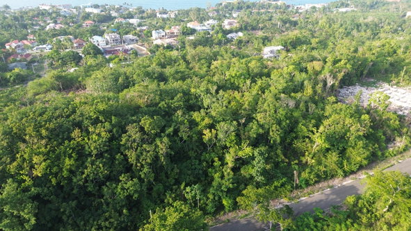 Twenty-Third image of Roystonea, Tower Isle in Tower Isle, St. Mary, Jamaica - property is For Sale