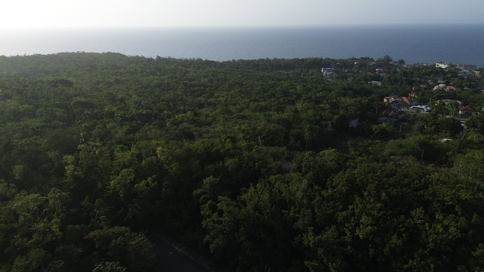 Twenty-Fifth image of Roystonea, Tower Isle in Tower Isle, St. Mary, Jamaica - property is For Sale