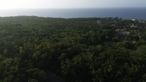 Twenty-Fifth image of Roystonea, Tower Isle in Tower Isle, St. Mary, Jamaica - property is For Sale