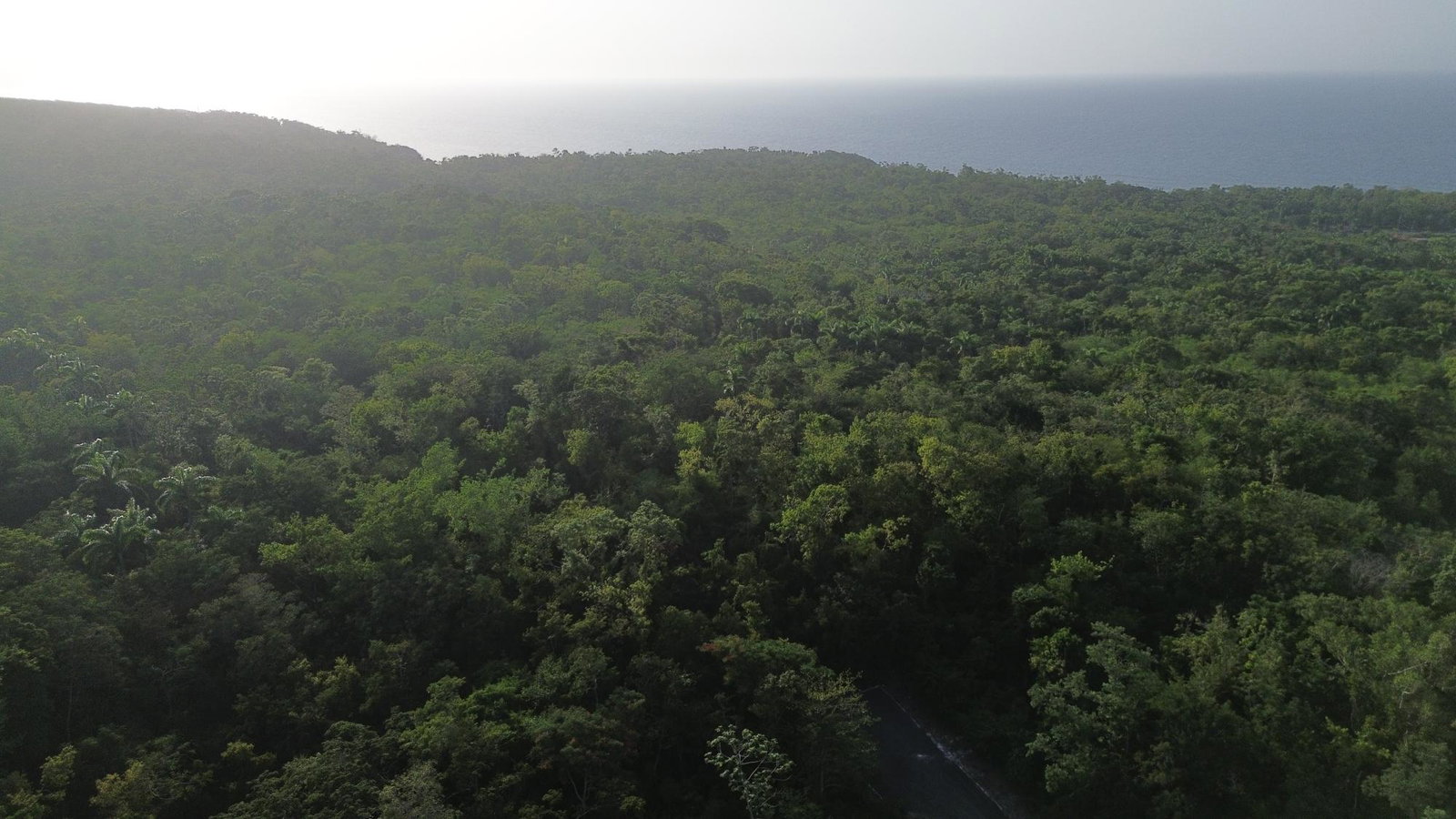 Twenty-Sixth image of Roystonea, Tower Isle in Tower Isle, St. Mary, Jamaica - property is For Sale