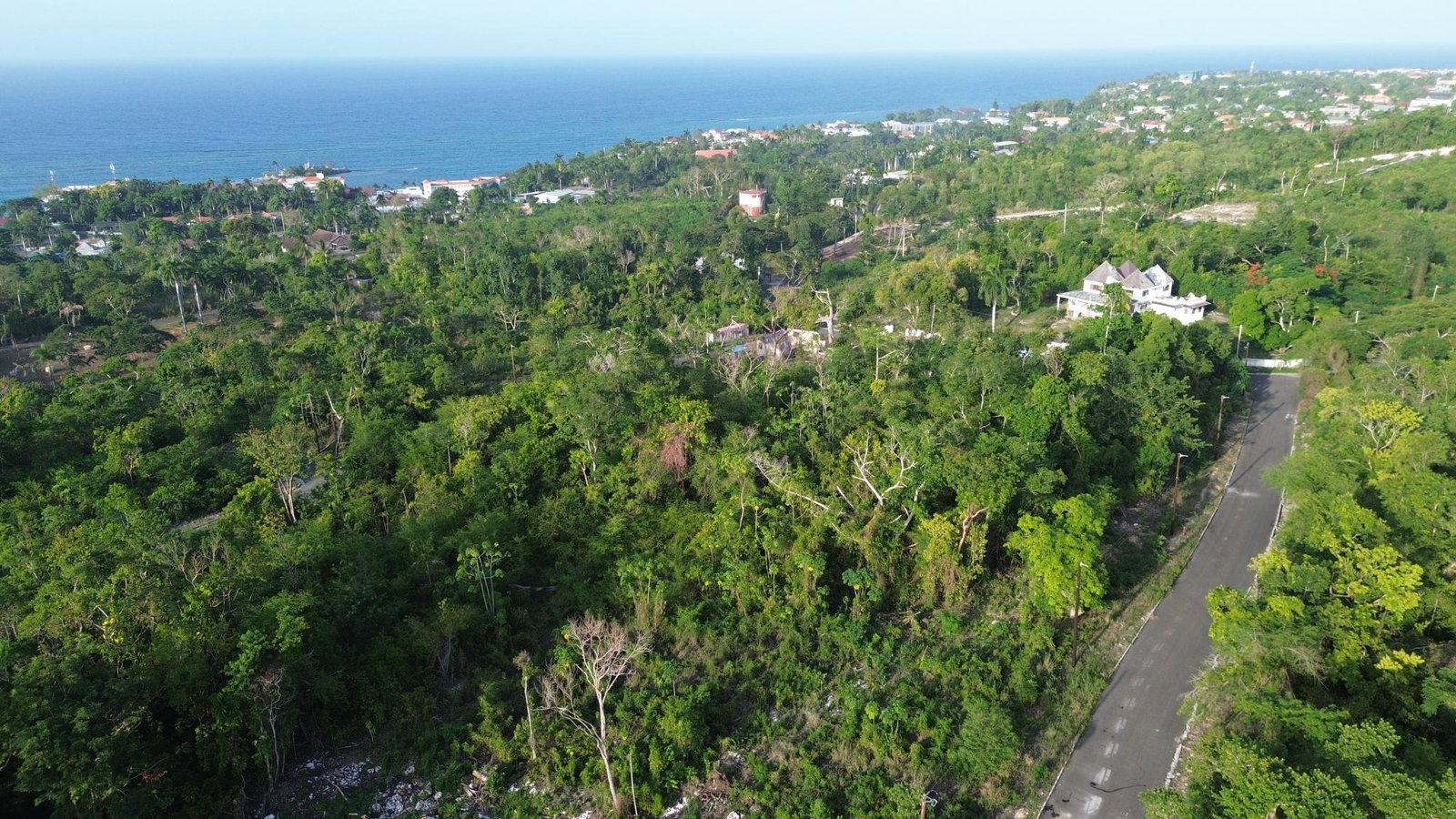 Third image of Roystonea, Tower Isle in Tower Isle, St. Mary, Jamaica - property is For Sale