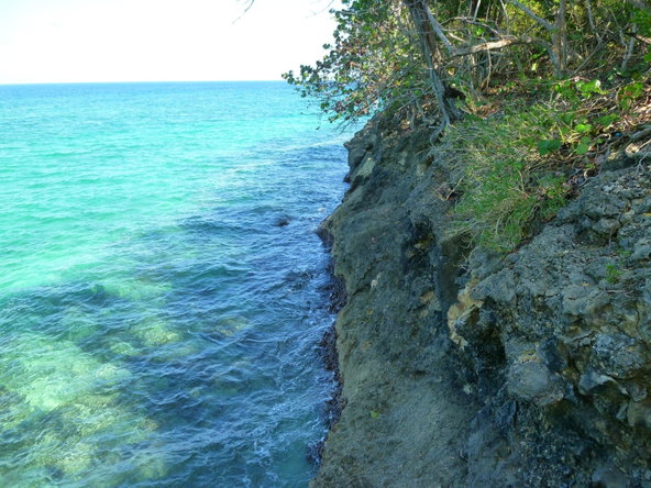 First image of Lot 5- Boscobel in Boscobel, St. Mary, Jamaica - property is For Sale