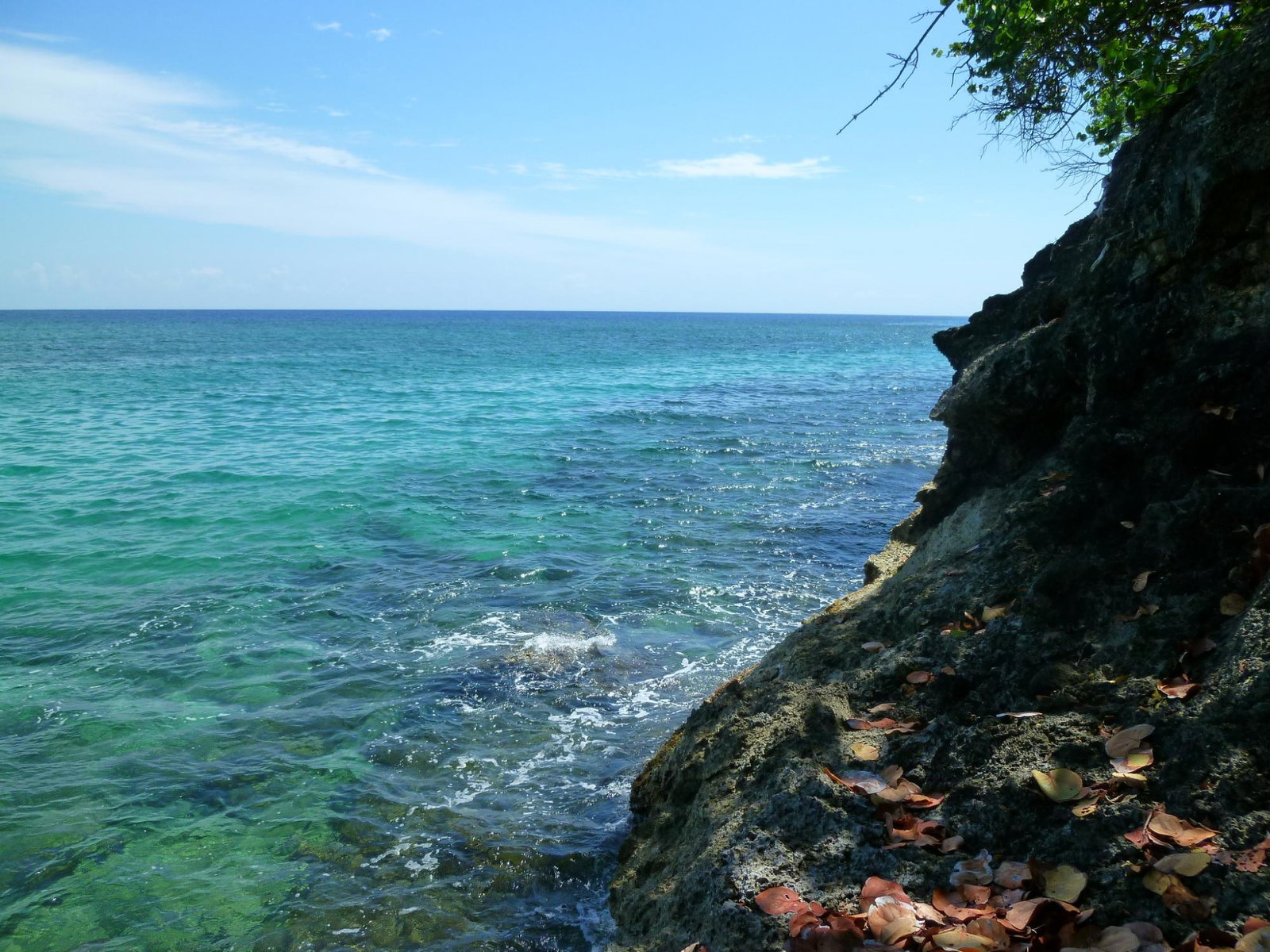Fourth image of Lot 5- Boscobel in Boscobel, St. Mary, Jamaica - property is For Sale