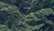 First image of Mount Saint Bernard in Mount St.Bernard, Portland, Jamaica - property is For Sale