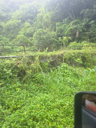 Second image of Mount Saint Bernard in Mount St.Bernard, Portland, Jamaica - property is For Sale