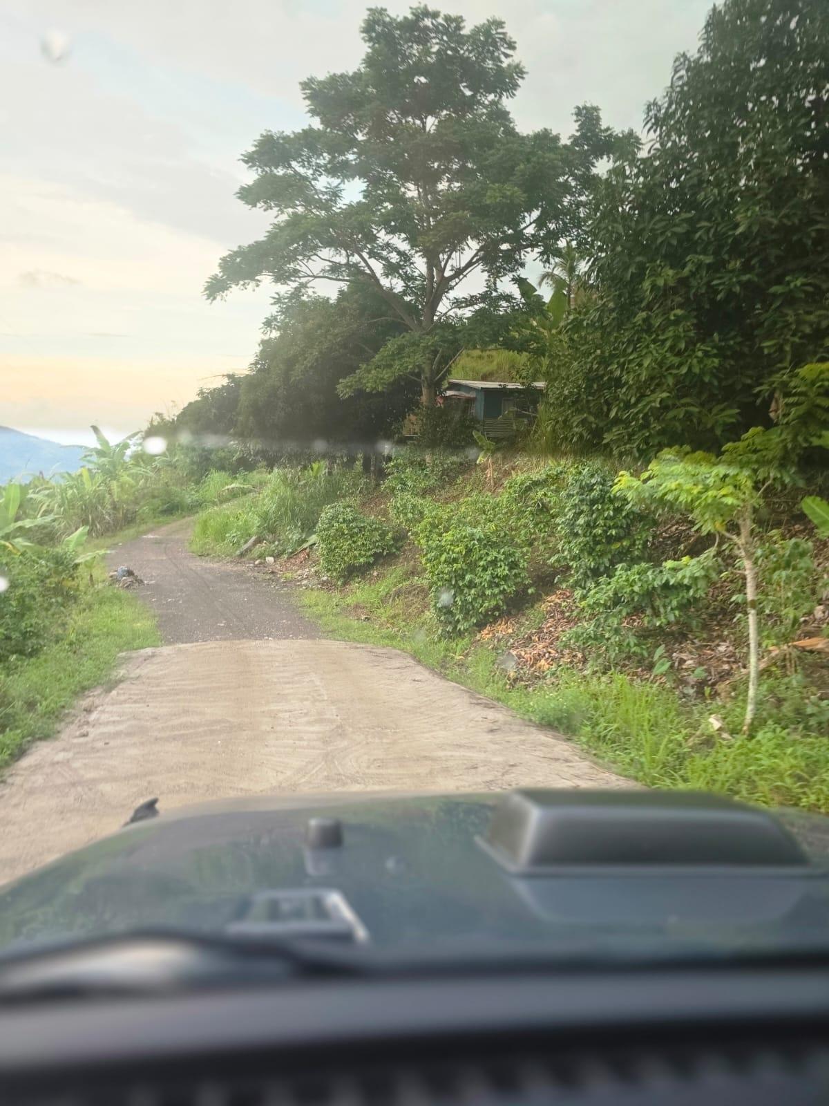 Fifth image of Mount Saint Bernard in Mount St.Bernard, Portland, Jamaica - property is For Sale