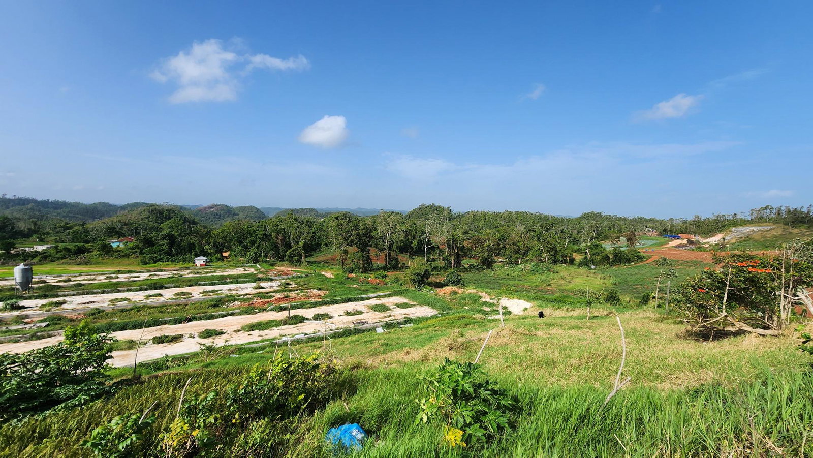 Twelfth image of Chippenham Park in Bamboo, St. Ann, Jamaica - property is For Sale