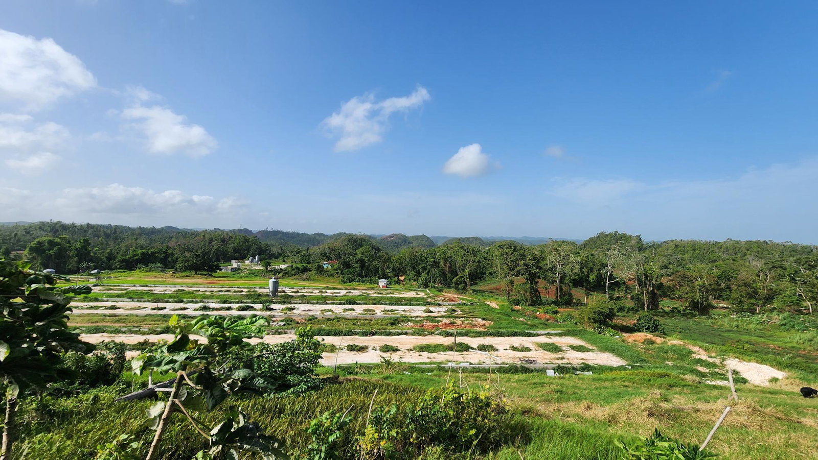Thirteenth image of Chippenham Park in Bamboo, St. Ann, Jamaica - property is For Sale