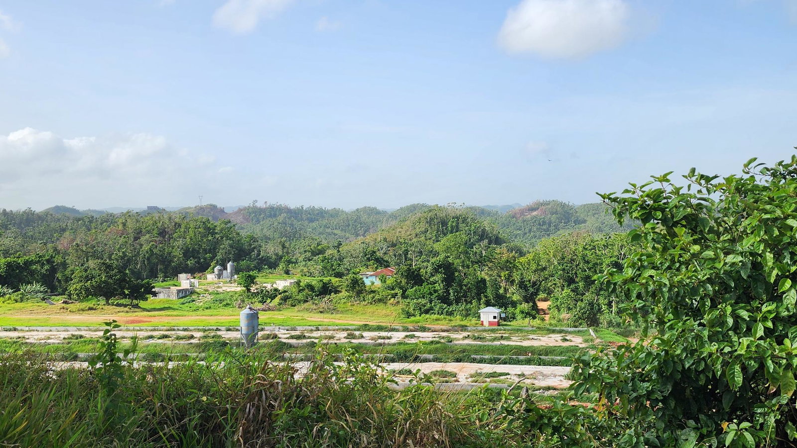 Fourteenth image of Chippenham Park in Bamboo, St. Ann, Jamaica - property is For Sale
