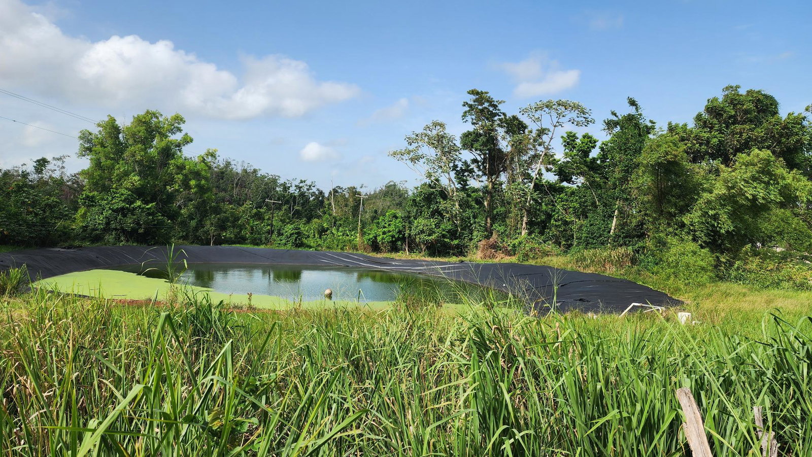 Fourth image of Chippenham Park in Bamboo, St. Ann, Jamaica - property is For Sale