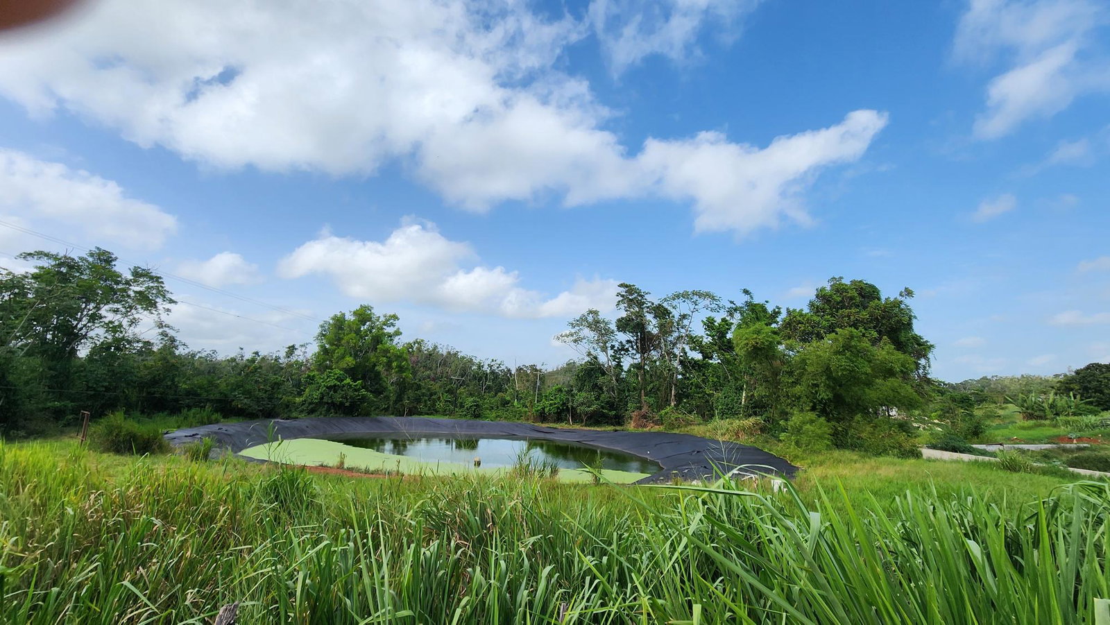 Eighth image of Chippenham Park in Bamboo, St. Ann, Jamaica - property is For Sale