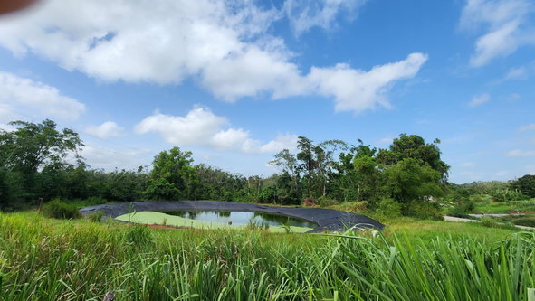Eighth image of Chippenham Park in Bamboo, St. Ann, Jamaica - property is For Sale