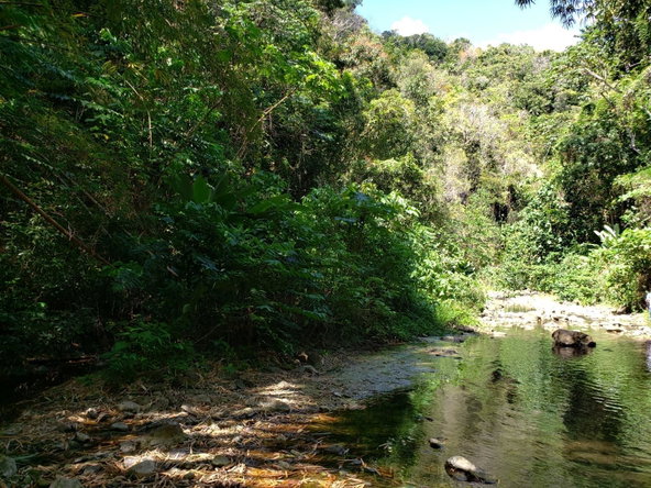 First image of Lot Abc Rhine st Thomas in Bath, St. Thomas, Jamaica - property is For Sale