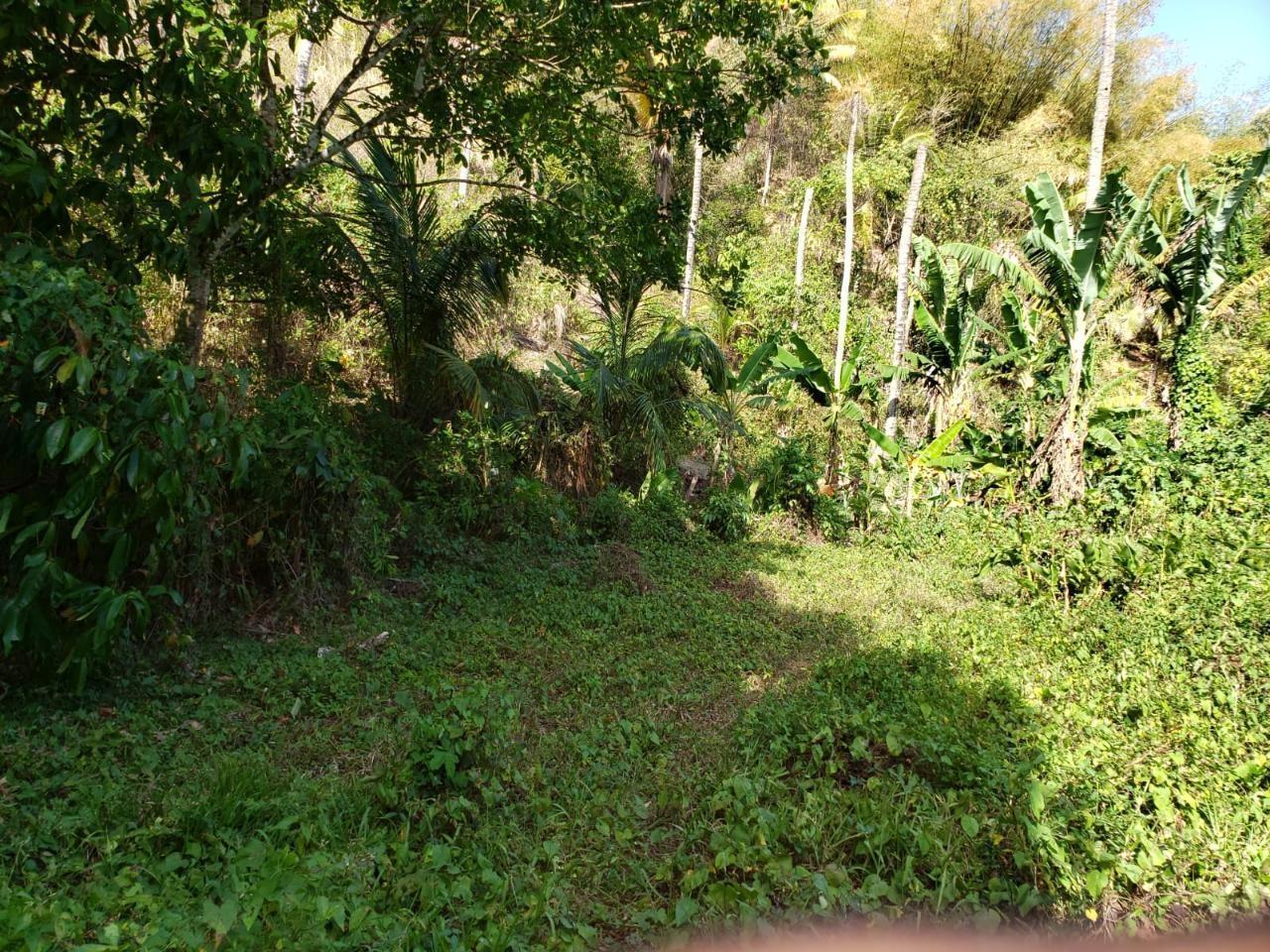 Fourth image of Lot Abc Rhine st Thomas in Bath, St. Thomas, Jamaica - property is For Sale