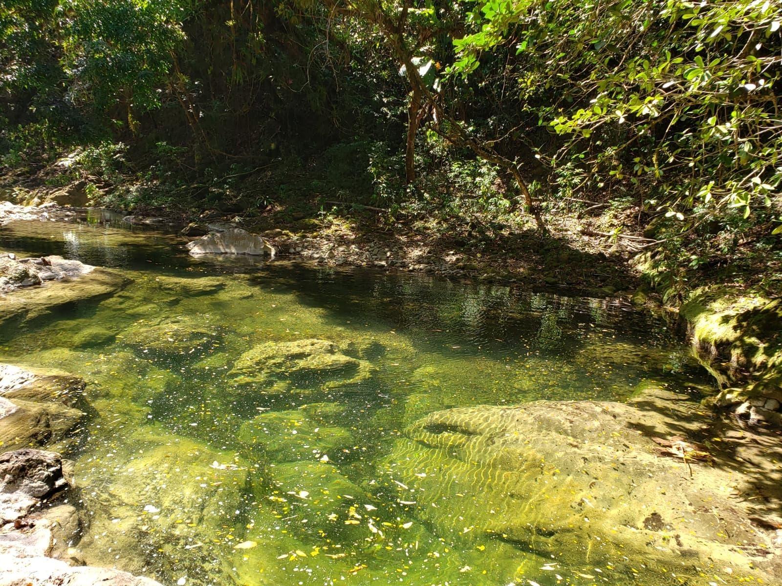 Sixth image of Lot Abc Rhine st Thomas in Bath, St. Thomas, Jamaica - property is For Sale
