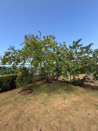 Sixteenth image of 904 Lignum Vitae, Richmond in Richmond, St. Ann, Jamaica - property is For Rent
