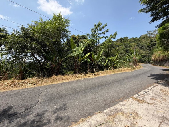 Tenth image of 5 New Grange in Woodford P.O., St. Andrew, Jamaica - property is For Sale