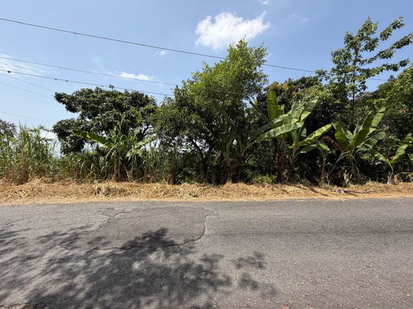 Eleventh image of 5 New Grange in Woodford P.O., St. Andrew, Jamaica - property is For Sale